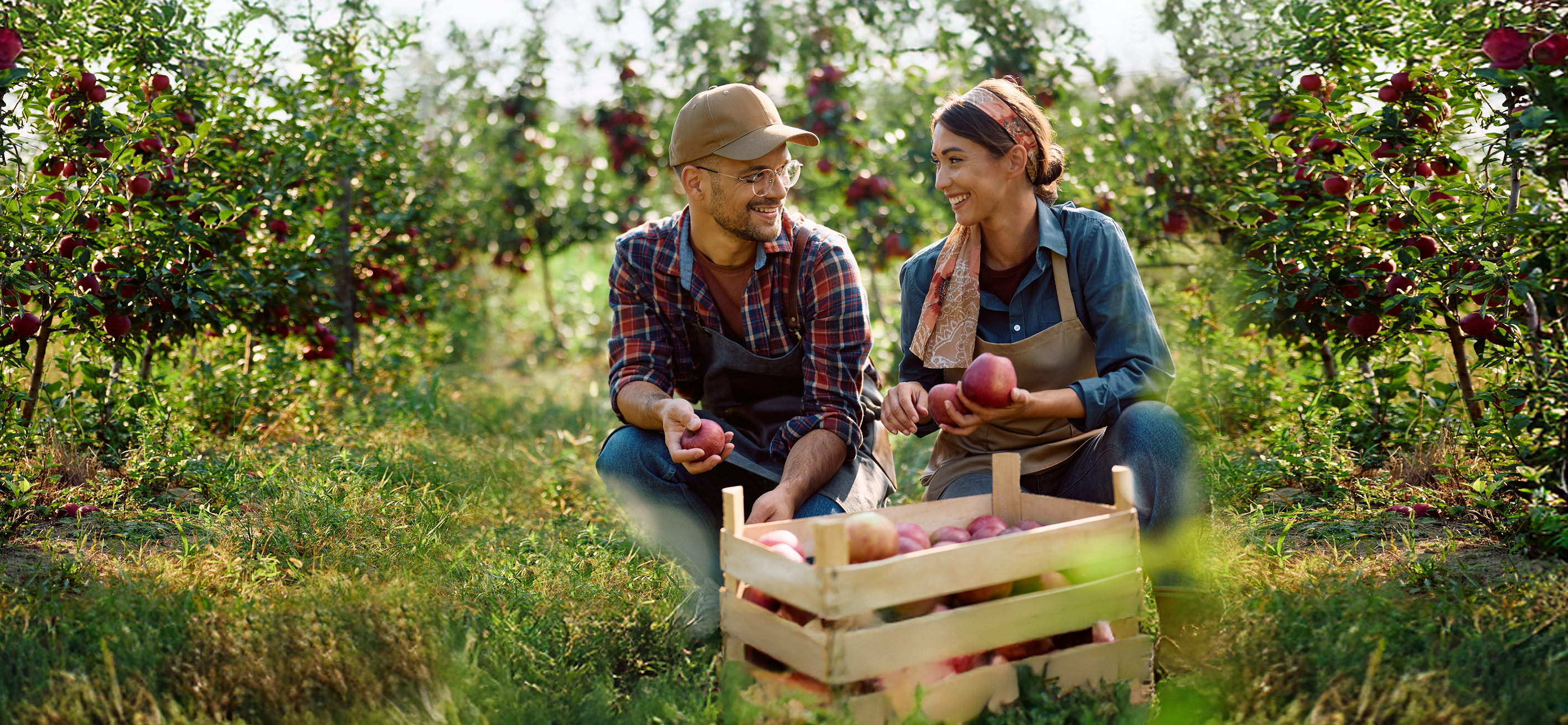 安道麦发布2025年第三季度及前九个月业绩