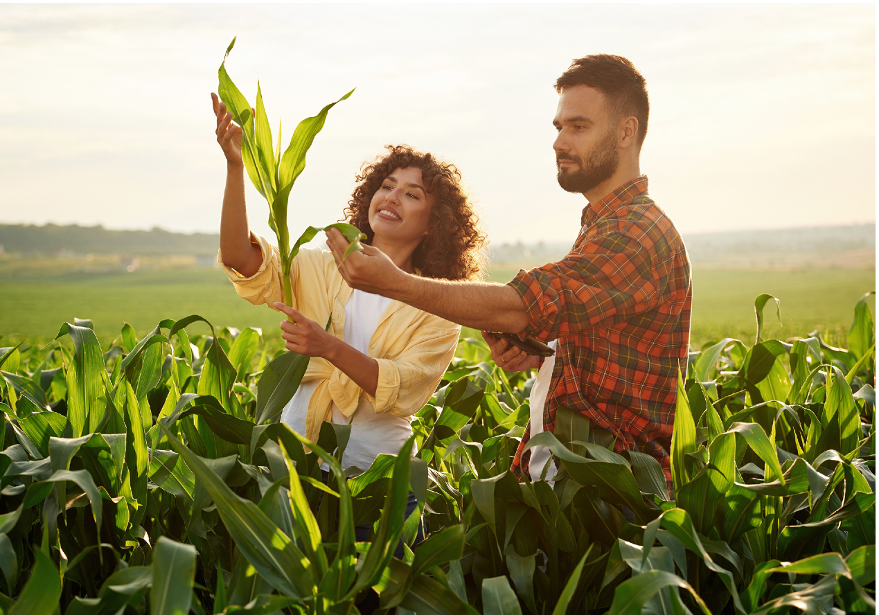安道麦发布2025年第四季度和全年业绩